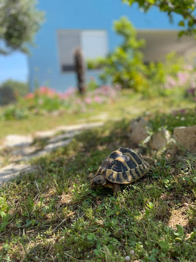 Mare i Kate Apartmani Tribalj Esterno foto